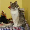 Отзыв от Оксана Кузьмина
